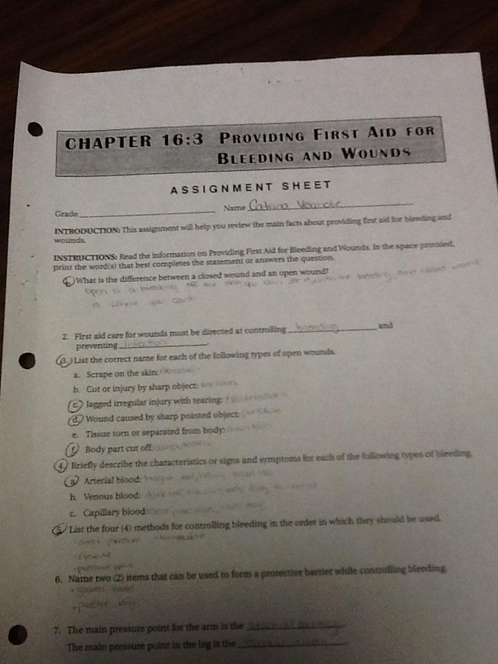 Technical Skills | bulb