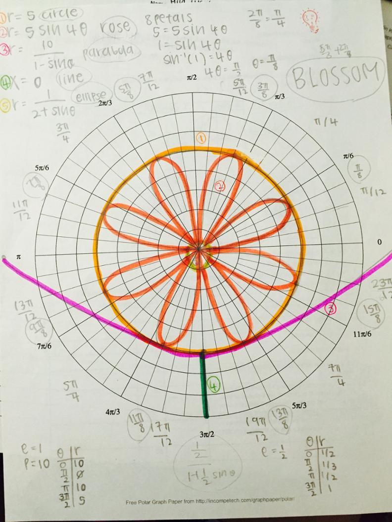 How To Draw A Rose Graph