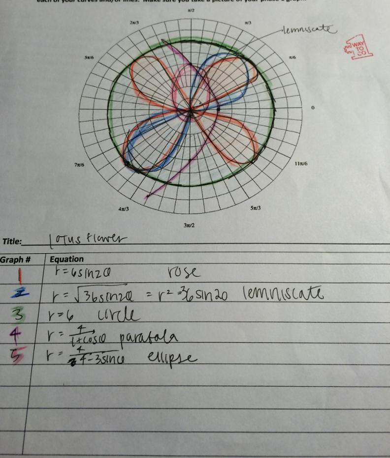 Flower Function Desmos | Best Flower Site