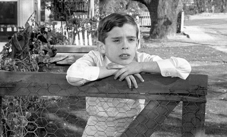 Who Is Zeebo In To Kill A Mockingbird 😂 Dill harris to kill a mockingbird. The Real People Behind Famous