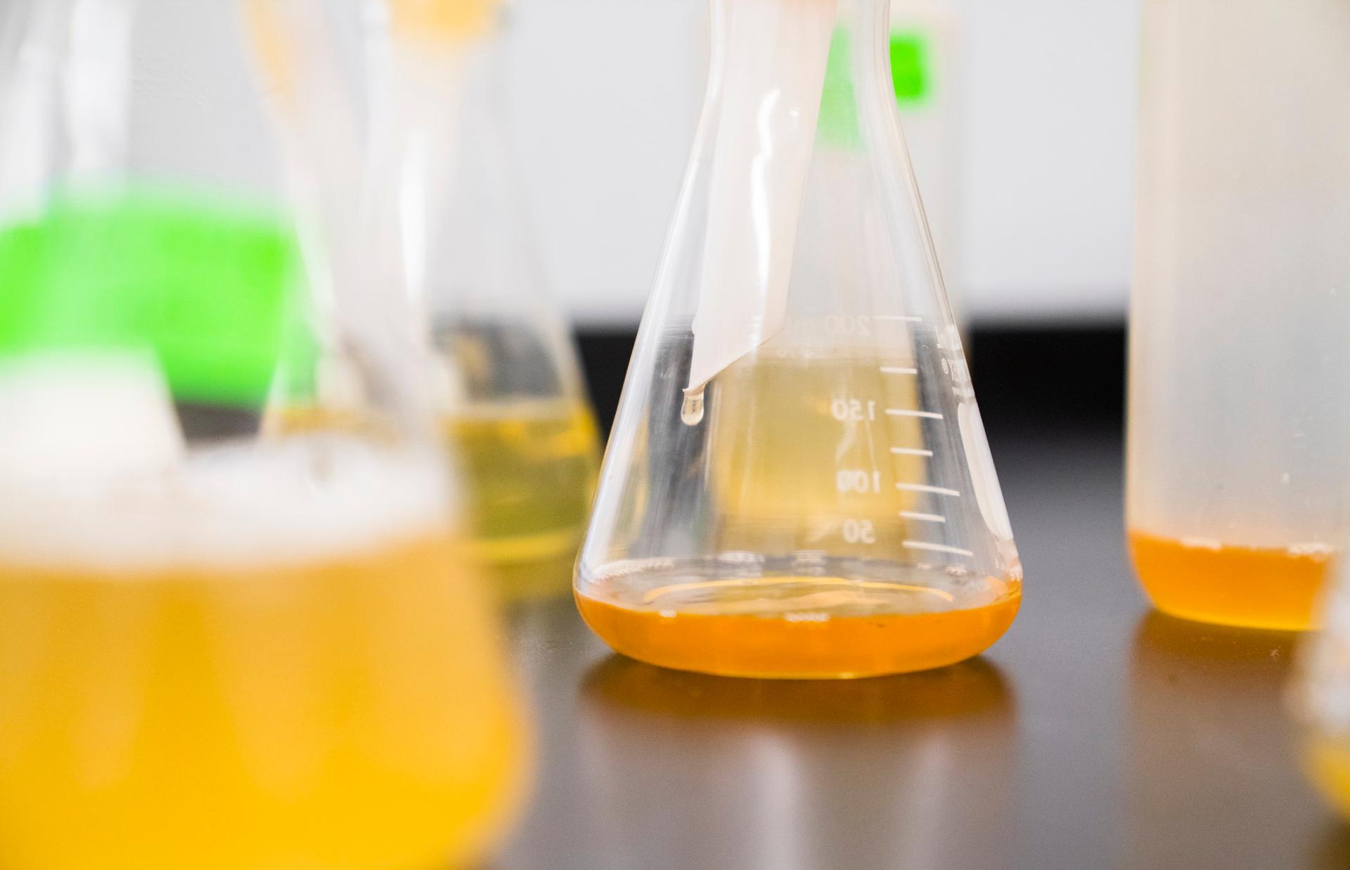 Burp Science bulb