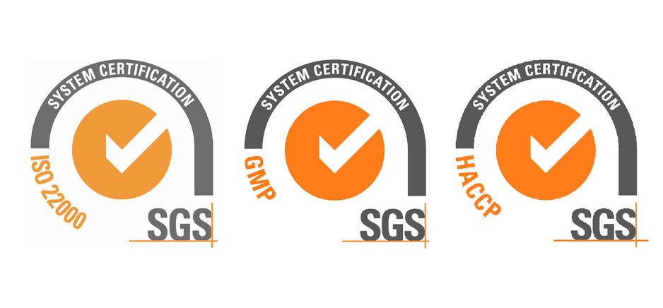 Class Reflection 7: GMP/HACCP Workshop | bulb