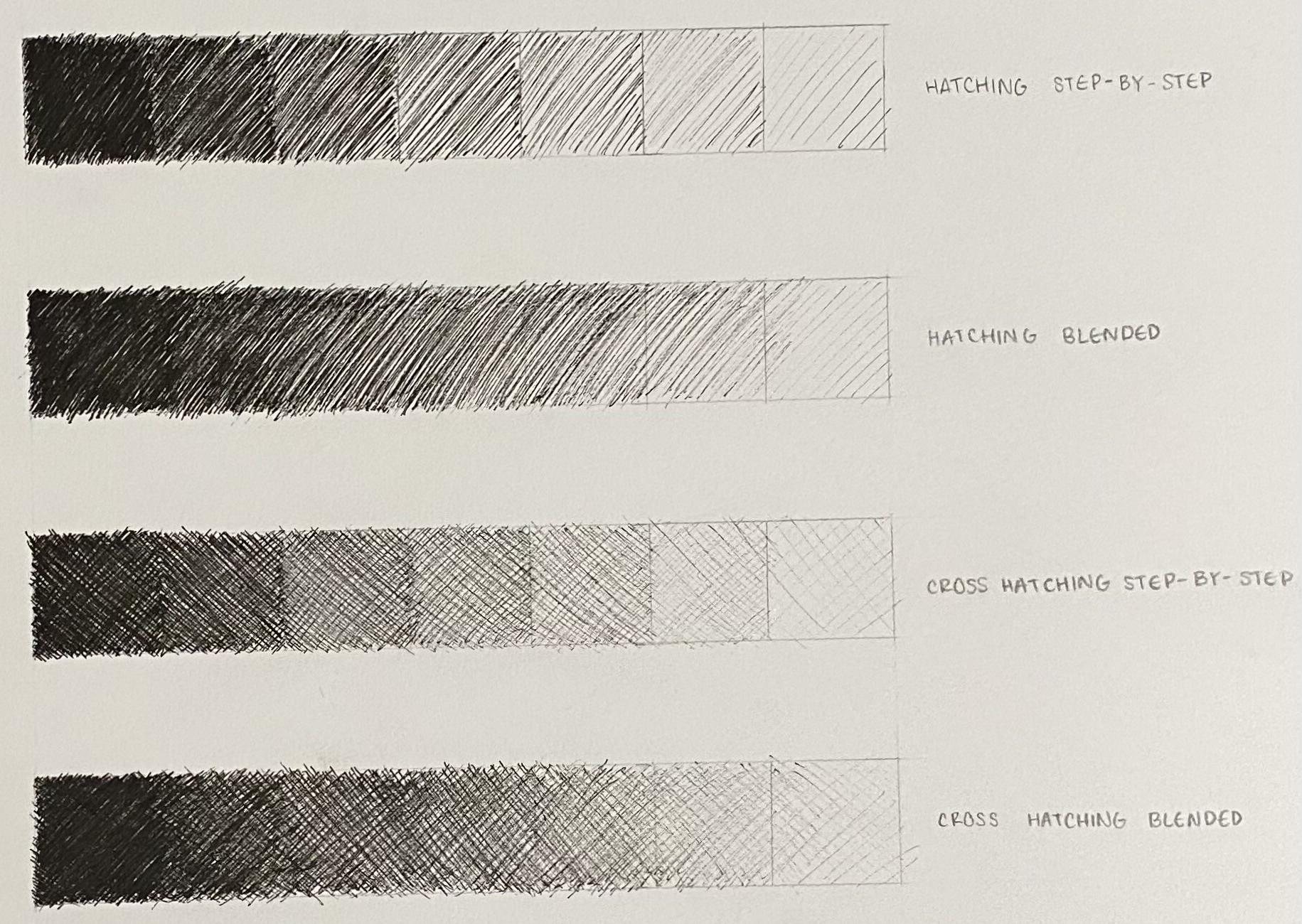 Cross Hatching Value Scale, 55% OFF | www.pinnaxis.com