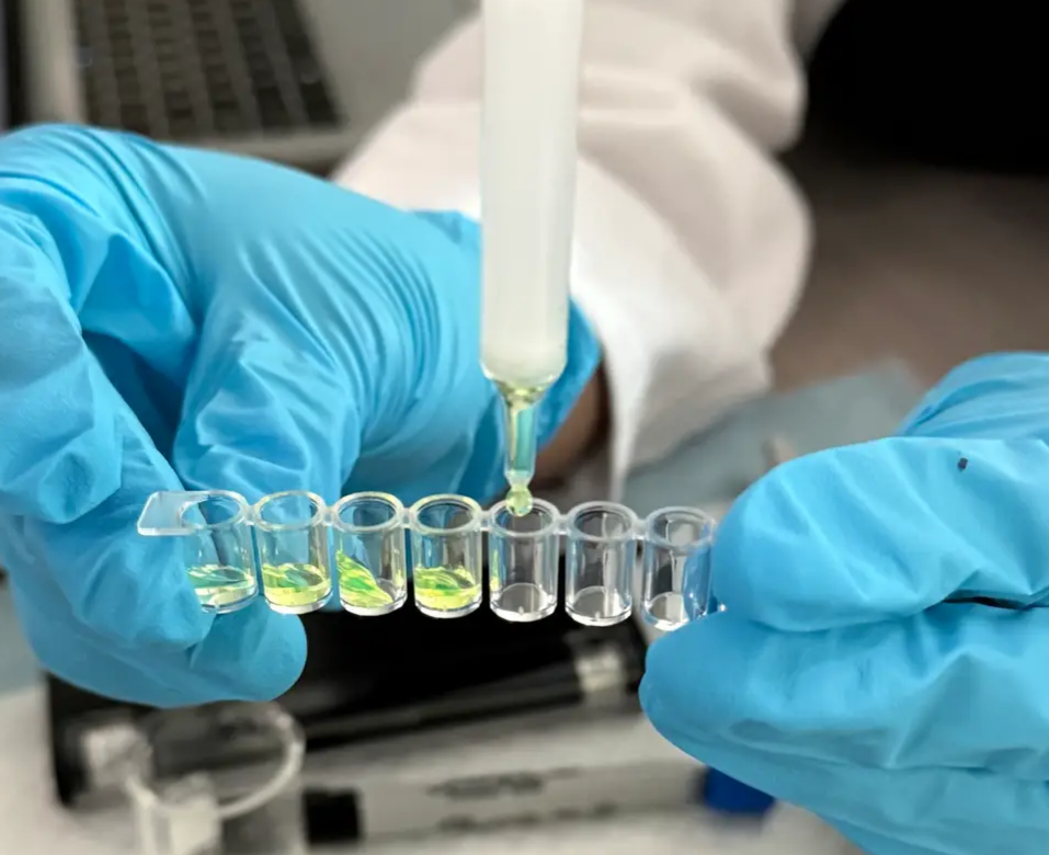 Gfp Lab Notes bulb