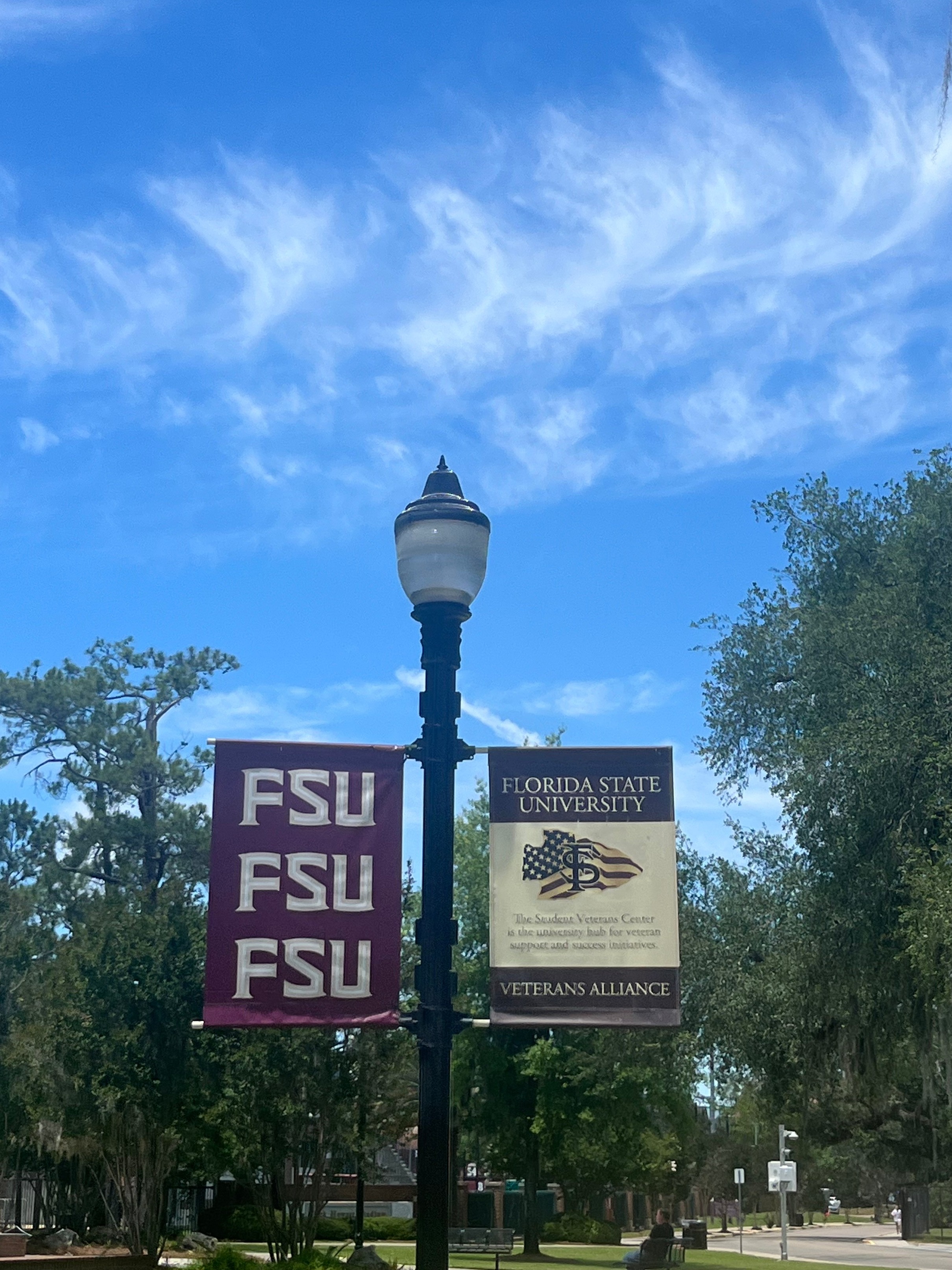 Fsu Signature bulb